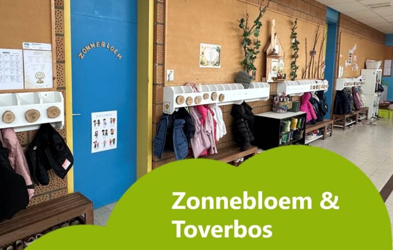 Zonnebloem & Toverbos